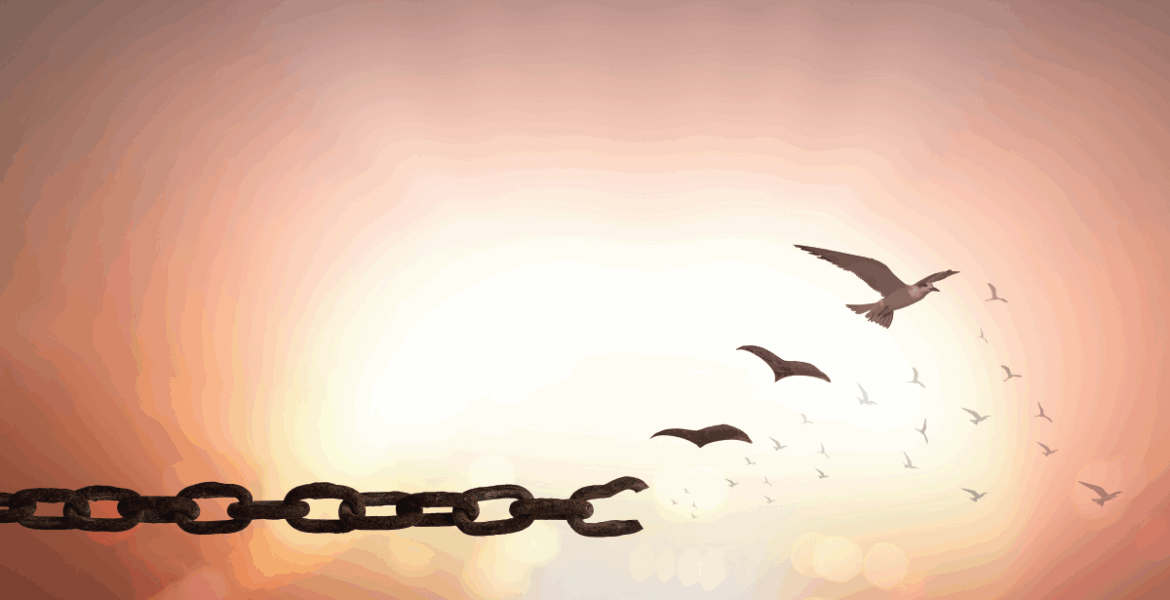 Creating Change and Acknowledging Failure